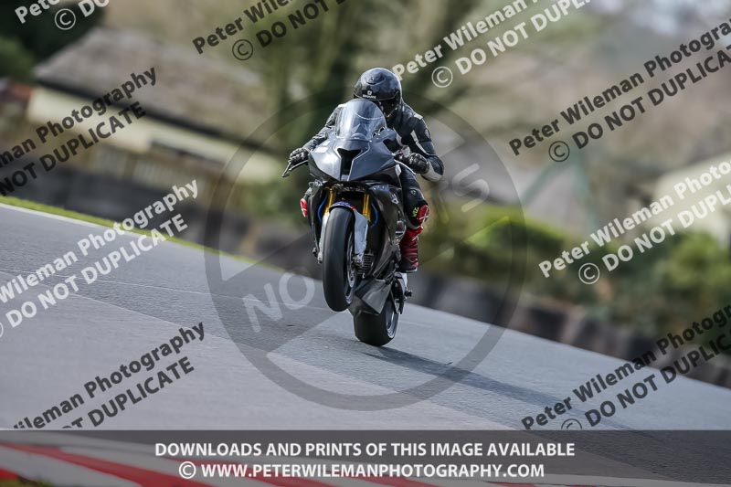 Oulton Park 21st March 2020;PJ Motorsport Photography 2020;anglesey;brands hatch;cadwell park;croft;donington park;enduro digital images;event digital images;eventdigitalimages;mallory;no limits;oulton park;peter wileman photography;racing digital images;silverstone;snetterton;trackday digital images;trackday photos;vmcc banbury run;welsh 2 day enduro